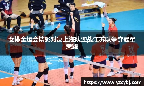 IM电竞官网