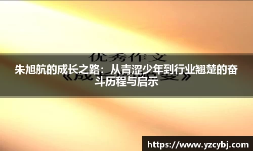 IM电竞官网