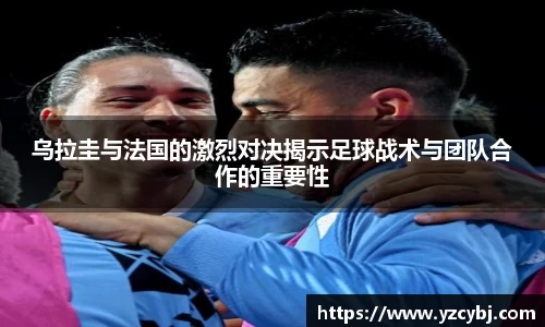 IM电竞官网