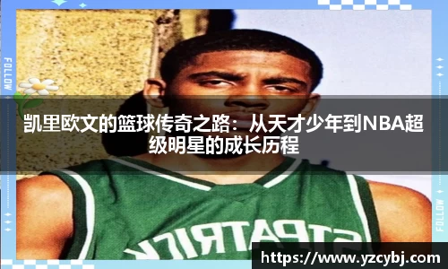 IM电竞官网