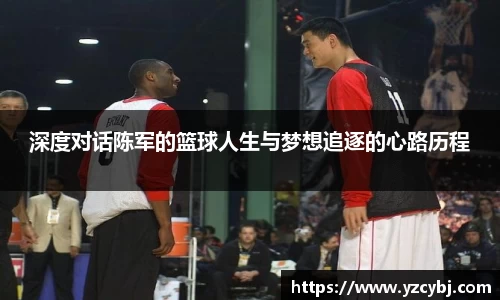 IM电竞平台