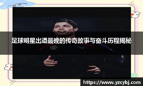 IM电竞官网
